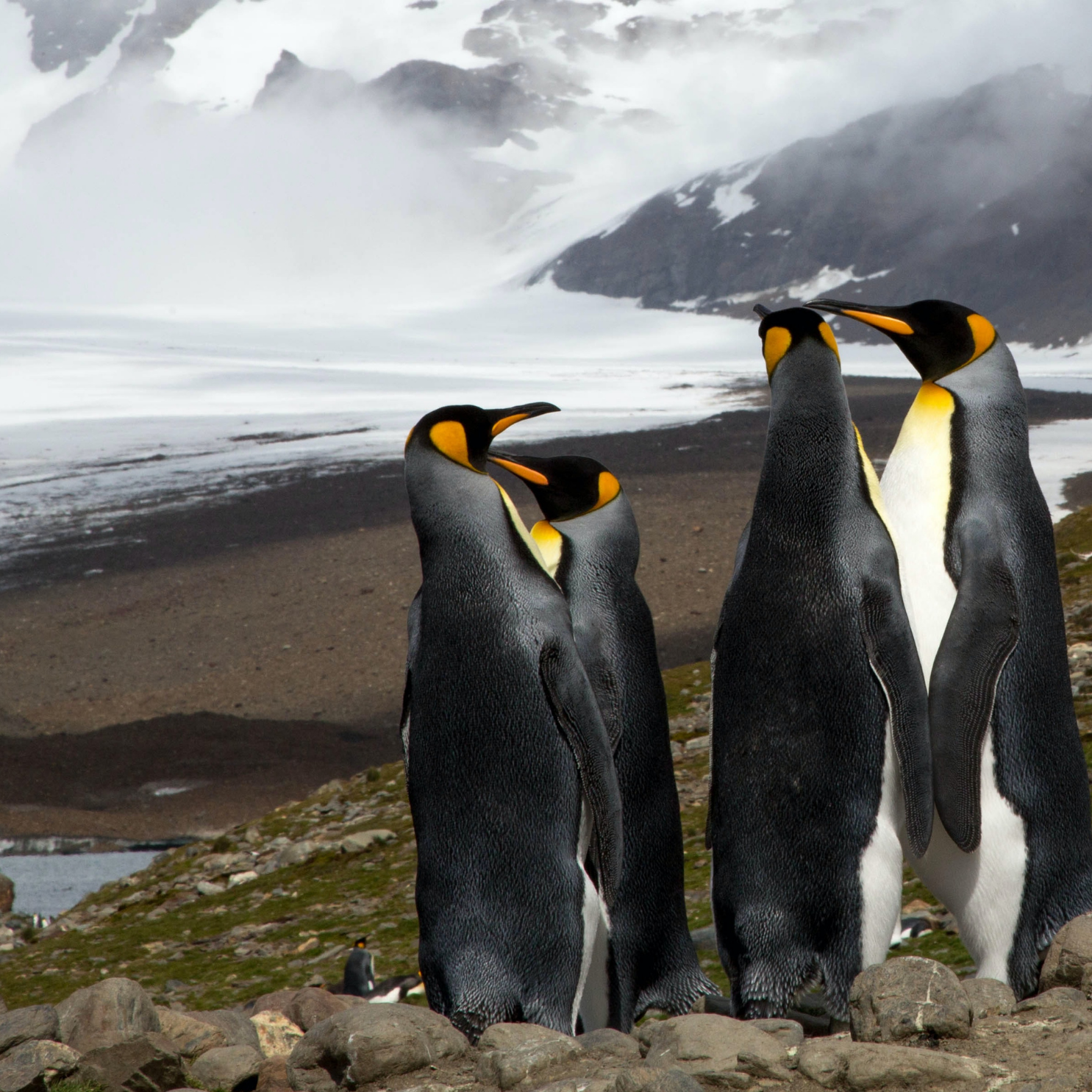 Image for Careers Conversations  