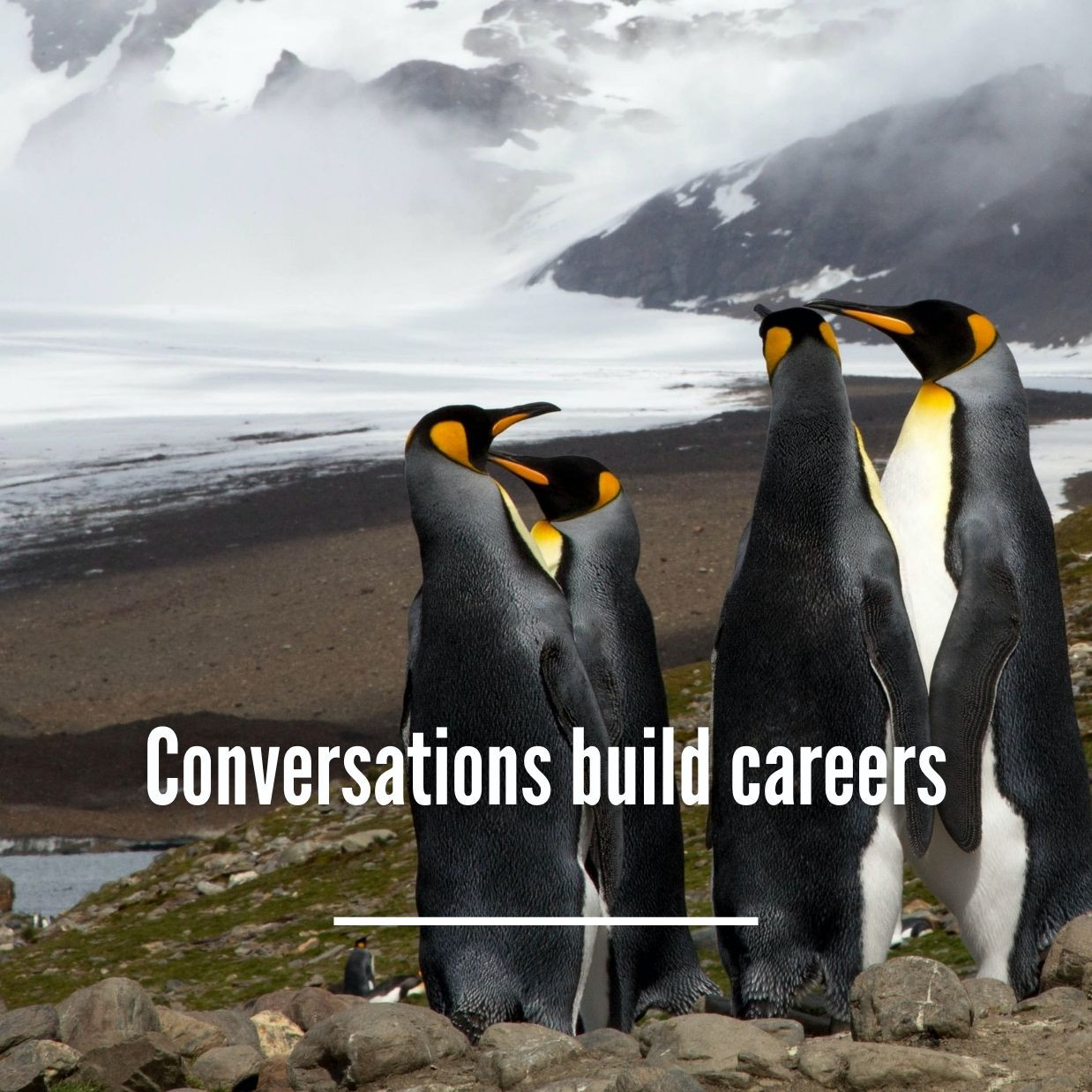 Image for Careers Conversations  