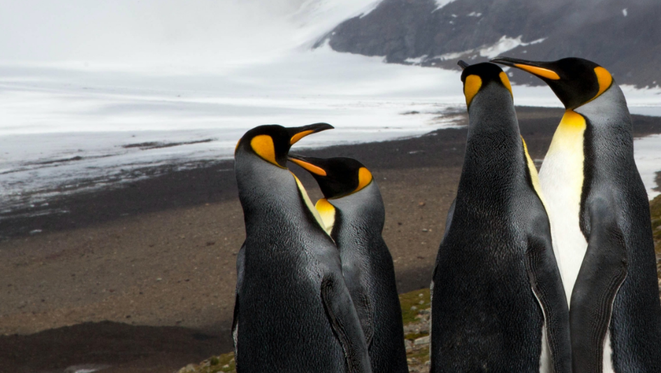 Image for Careers Conversations  