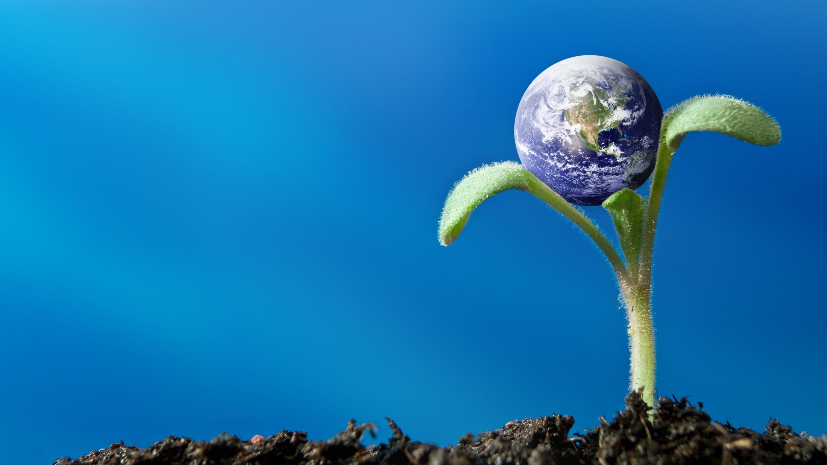 Image for Positive Futures 