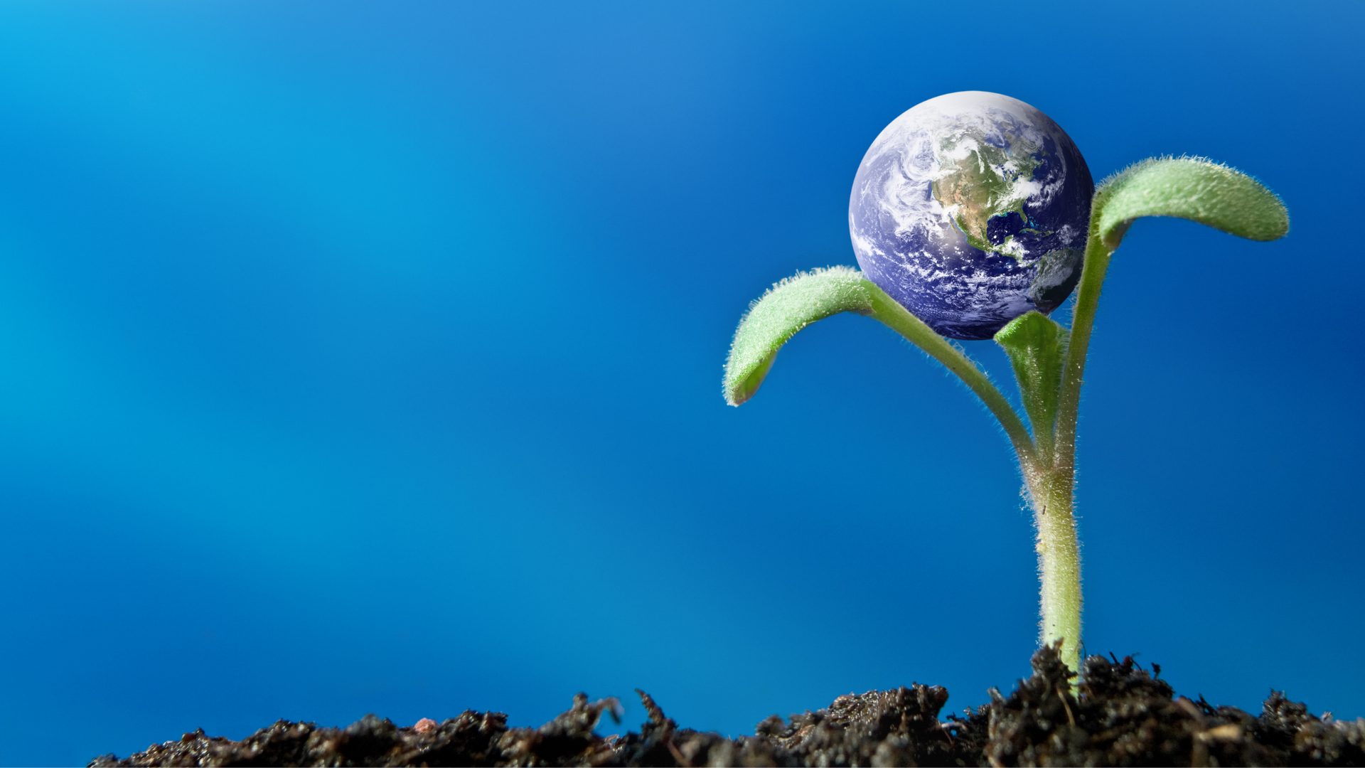 Image for Positive Futures 