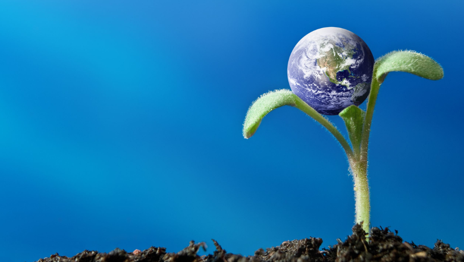 Image for Positive Futures 