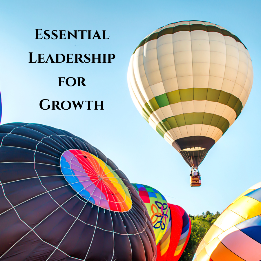 Image for Essential Leadership for Growth 