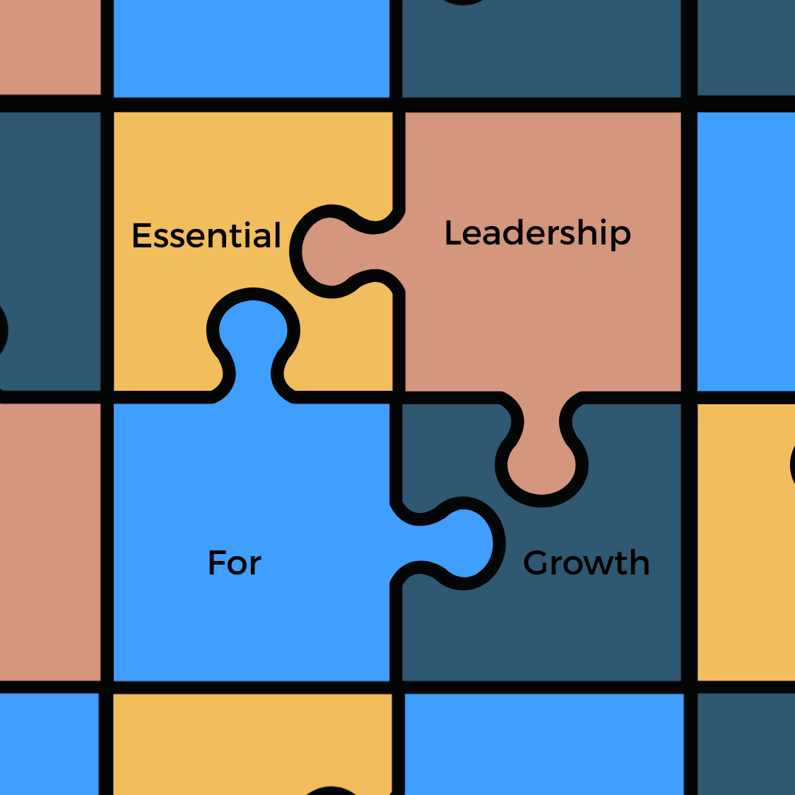 Image for Essential Leadership for Growth 